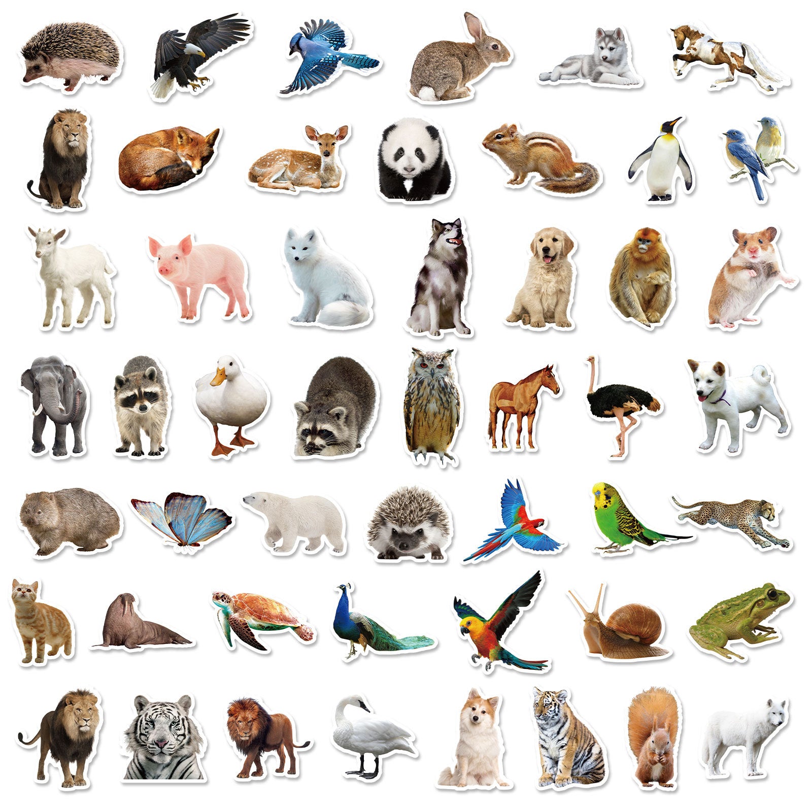 Wholesale Animal Realistic Sticker